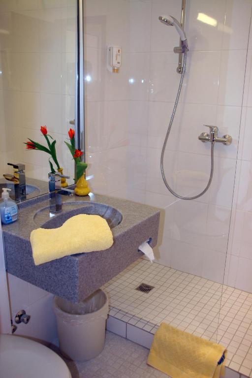 شباير Rheinhotel Luxhof المظهر الخارجي الصورة